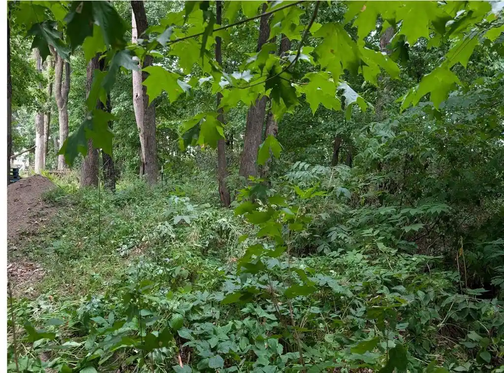 Photo 1 of Land for sale at Xxx E Birch Ave, Barron, WI 54812 | MLS# 1604831 | Listing updated on 2026-09-03