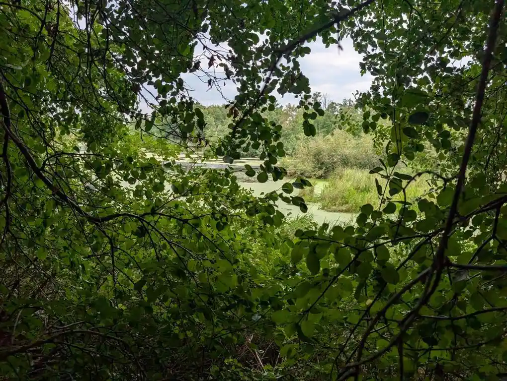 Photo 2 of Land for sale at Xxx E Birch Ave, Barron, WI 54812 | MLS# 1604831 | Listing updated on 2026-09-03