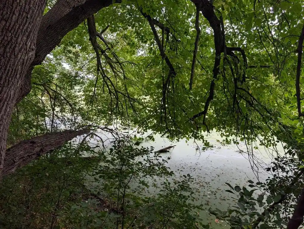 Photo 3 of Land for sale at Xxx E Birch Ave, Barron, WI 54812 | MLS# 1604831 | Listing updated on 2026-09-03