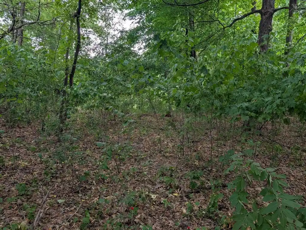 Photo 3 of Land for sale at Xxx E Birch Ave, Barron, WI 54812 | MLS# 1604831 | Listing updated on 2026-09-03