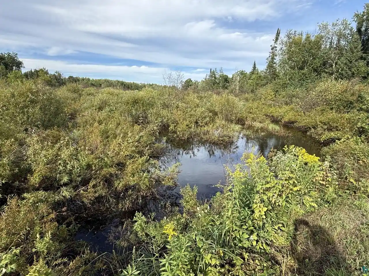 Photo 1 of Land for sale at 51xx E County Rd M, Gordon, WI 54838 | MLS# 6127768 | Listing updated on 2026-09-03