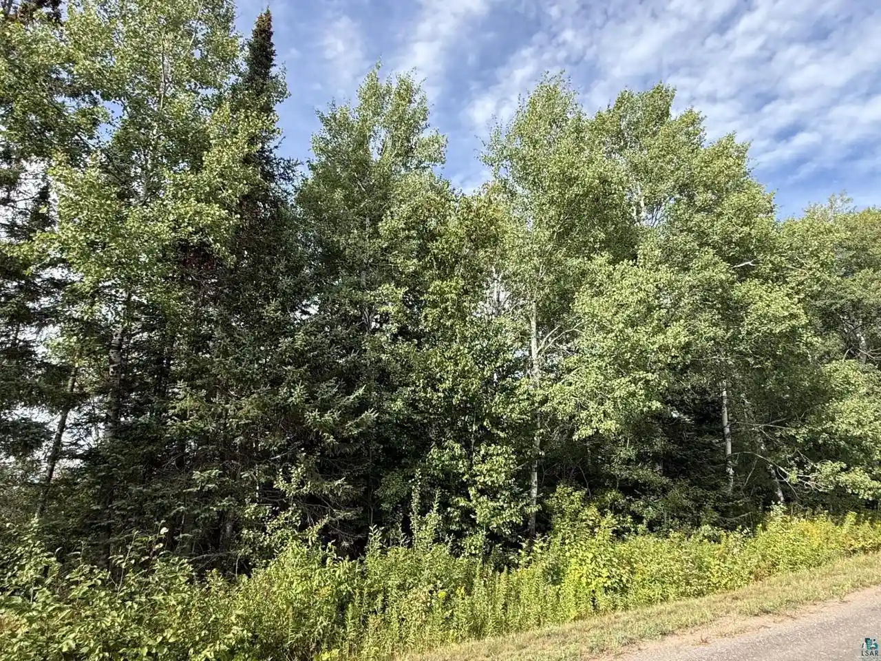 Photo 2 of Land for sale at 51xx E County Rd M, Gordon, WI 54838 | MLS# 6127768 | Listing updated on 2026-09-03