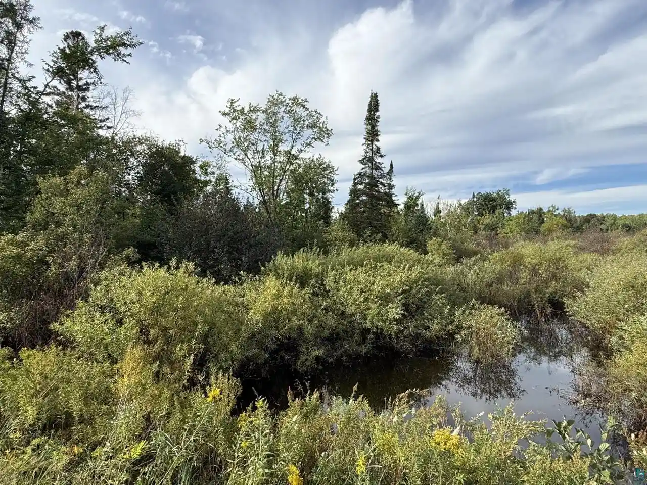 Photo 3 of Land for sale at 51xx E County Rd M, Gordon, WI 54838 | MLS# 6127768 | Listing updated on 2026-09-03