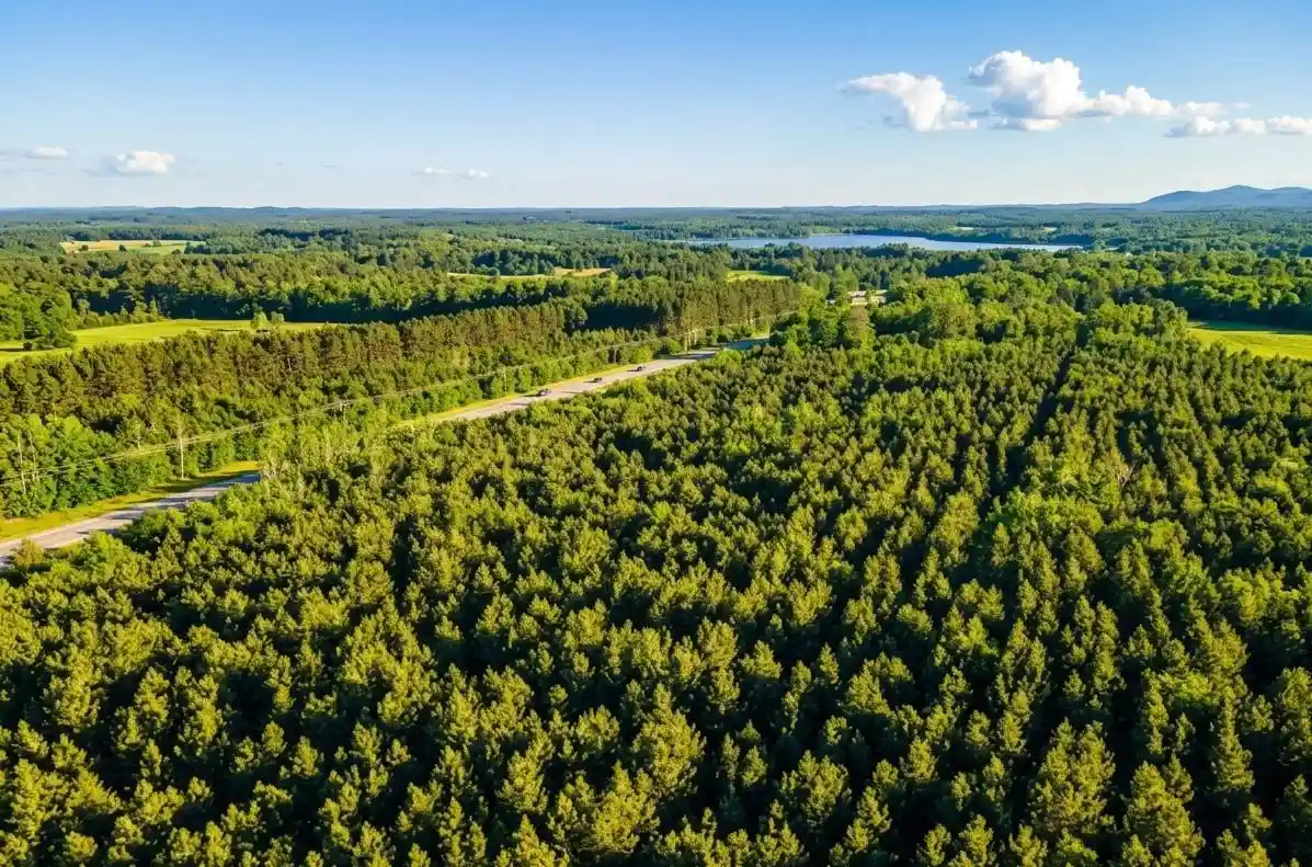 Photo 1 of Land for sale at Lot 4 11th Drive, Friendship, WI 53934 | MLS# 2031912 | Listing updated on 2026-09-13