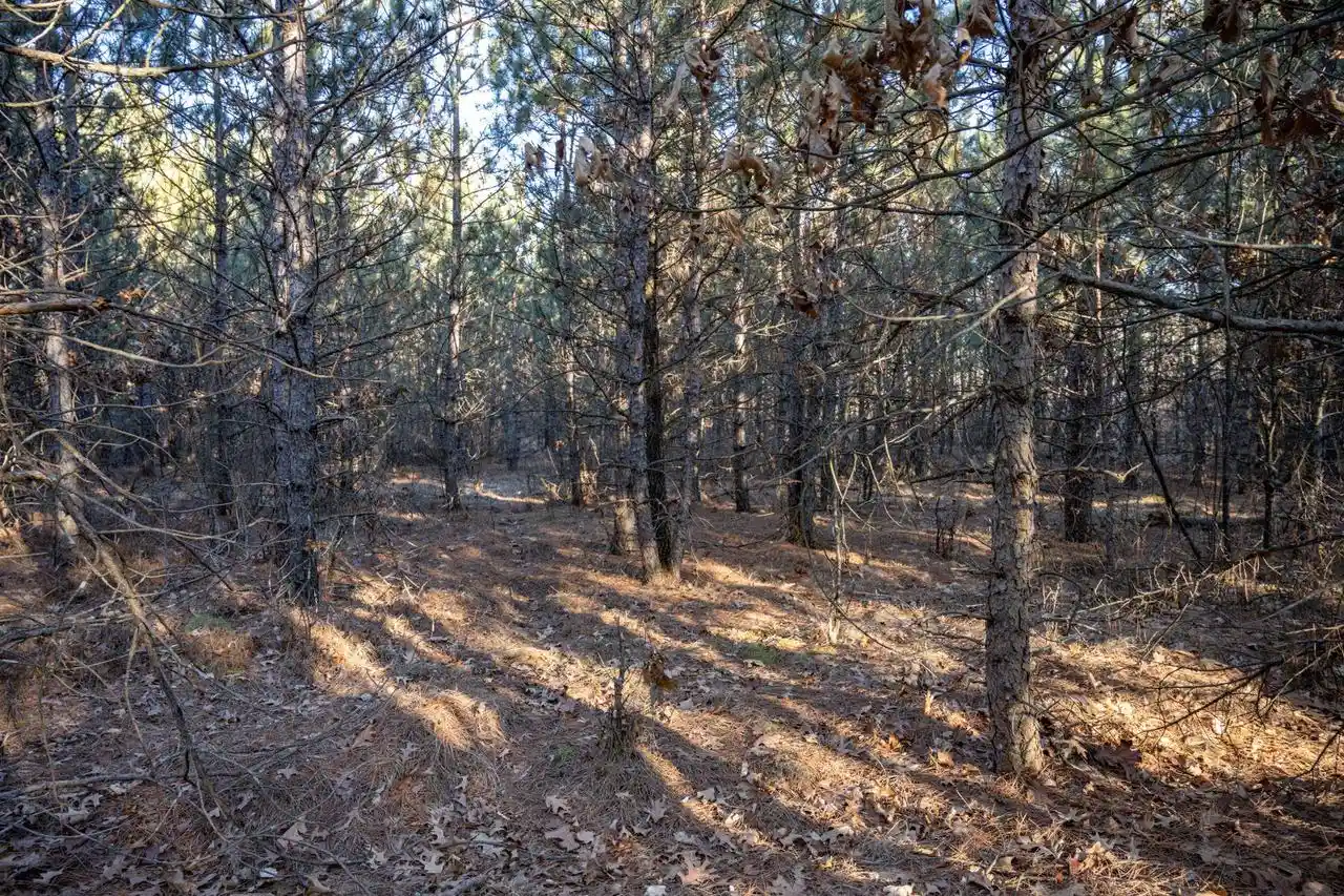 Photo 2 of Land for sale at Lot 4 11th Drive, Friendship, WI 53934 | MLS# 2031912 | Listing updated on 2026-09-13