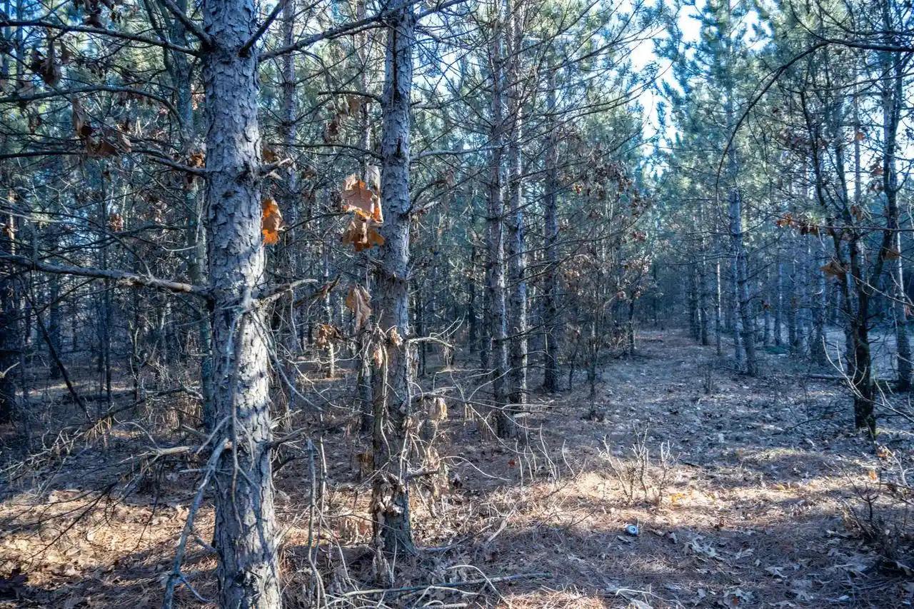 Photo 3 of Land for sale at Lot 4 11th Drive, Friendship, WI 53934 | MLS# 2031912 | Listing updated on 2026-09-13