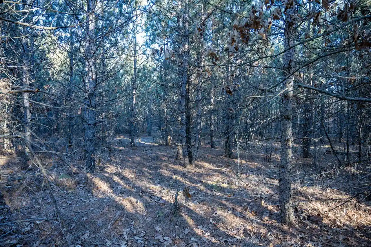 Photo 3 of Land for sale at Lot 4 11th Drive, Friendship, WI 53934 | MLS# 2031912 | Listing updated on 2026-09-13