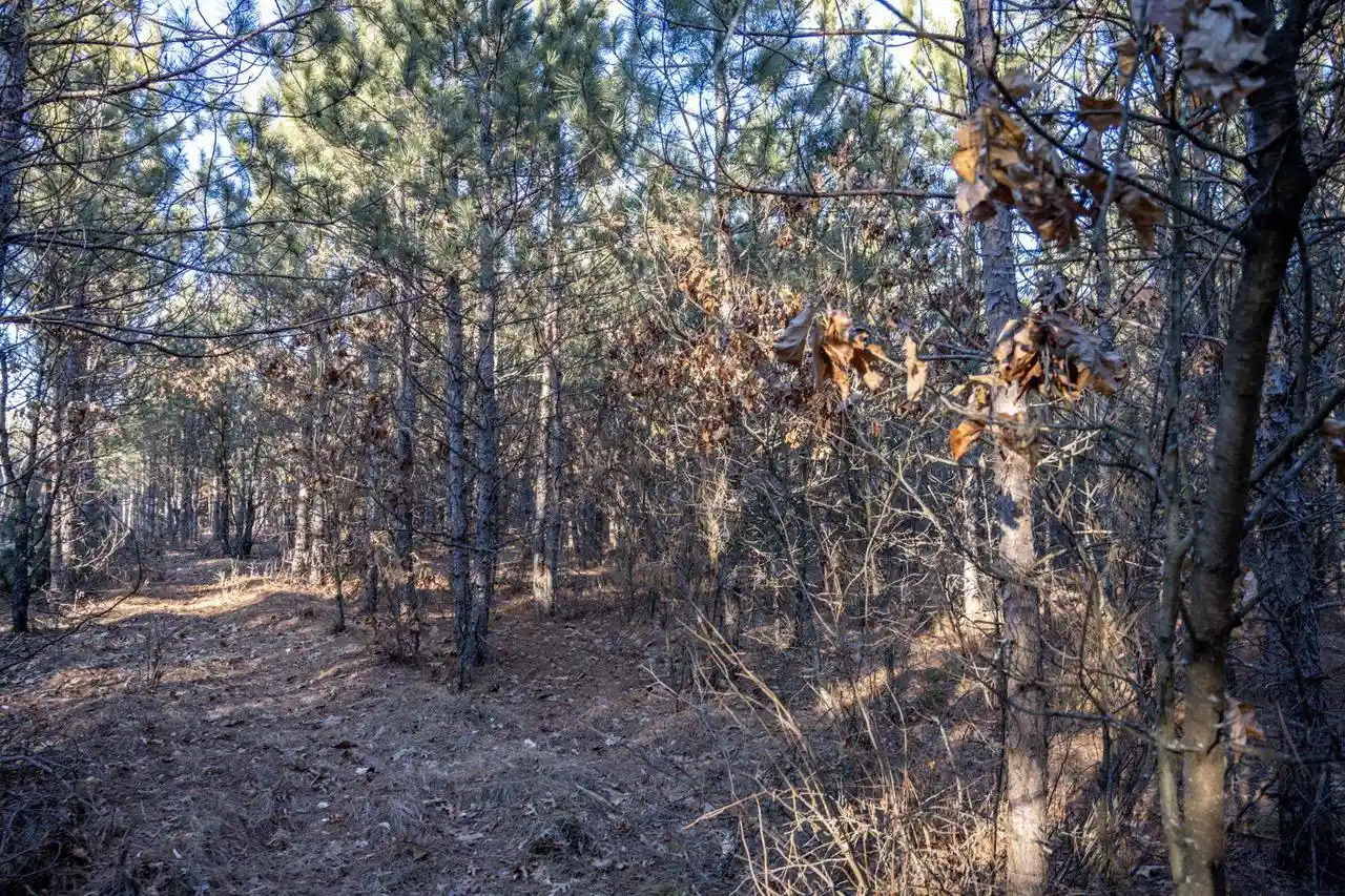 Photo 4 of Land for sale at Lot 4 11th Drive, Friendship, WI 53934 | MLS# 2031912 | Listing updated on 2026-09-13