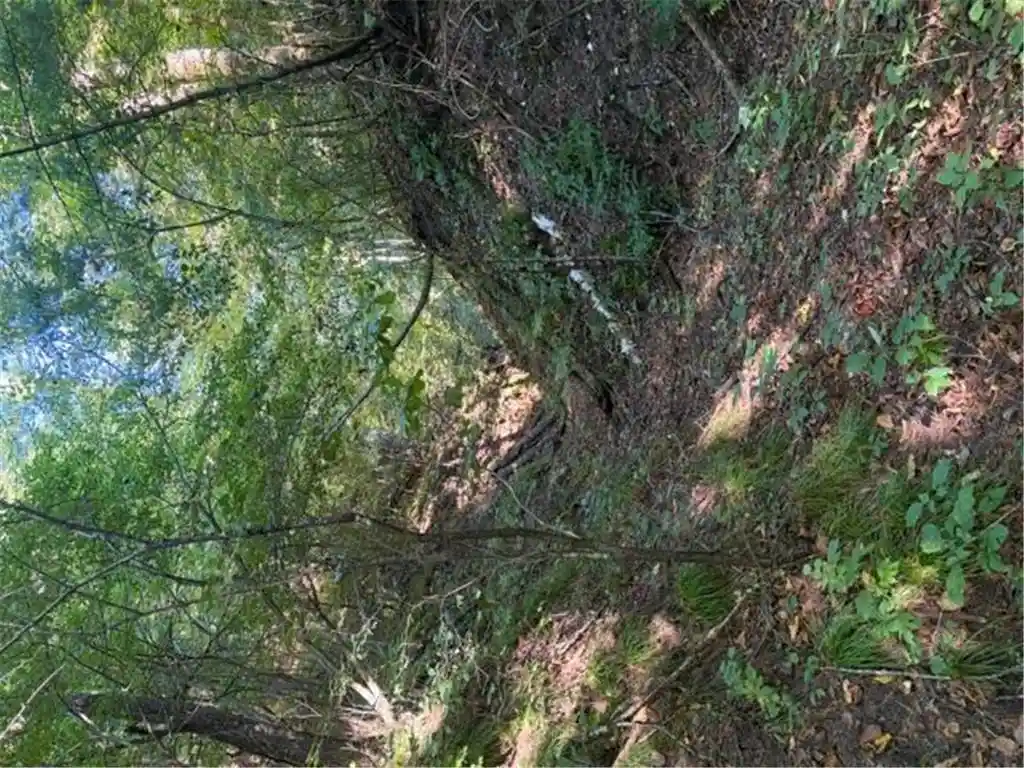Photo 4 of Land for sale at 649 193rd Avenue, Somerset, WI 54025 | MLS# 7138336 | Listing updated on 2026-09-11