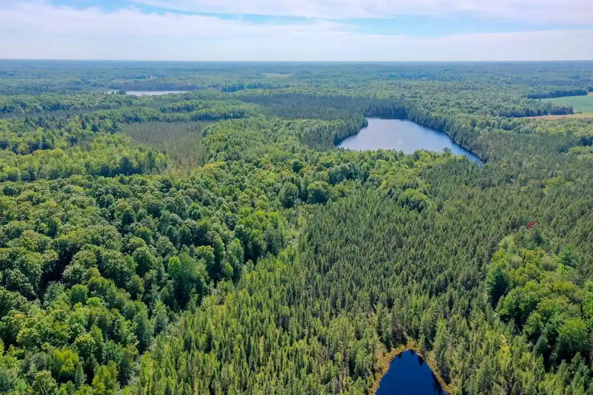 Photo 3 of Land for sale at +/-49915 Ac Horseshoe Lake Ave, Medford, WI 54451 | MLS# 22604356 | Listing updated on 2026-09-15