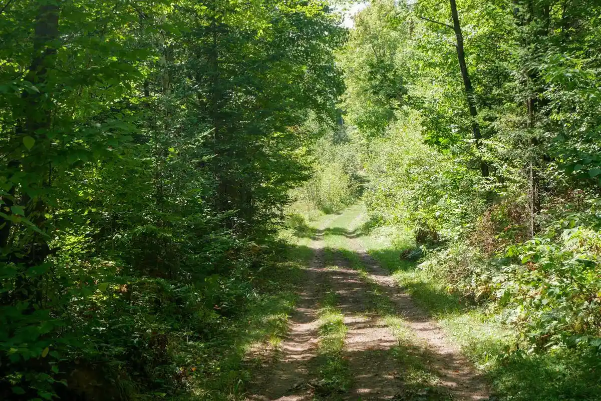 Photo 4 of Land for sale at +/-49915 Ac Horseshoe Lake Ave, Medford, WI 54451 | MLS# 22604356 | Listing updated on 2026-09-15