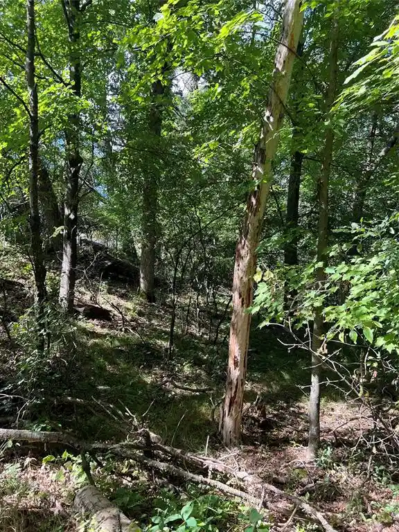Photo 3 of Land for sale at 0 833rd Avenue, Menomonie, WI 54751 | MLS# 1604795 | Listing updated on 2026-09-21