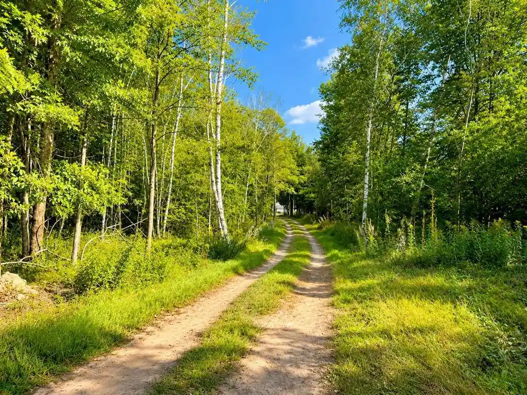 Photo 3 of Land for sale at 110 90th Avenue, Clayton, WI 54004 | MLS# 1604843 | Listing updated on 2026-09-03