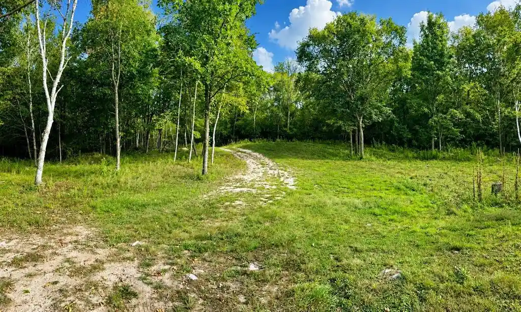 Photo 3 of Land for sale at 110 90th Avenue, Clayton, WI 54004 | MLS# 1604843 | Listing updated on 2026-09-03