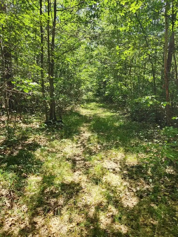 Photo 2 of Land for sale at On Prairie Lake Rd #Lots 5-8, Tomahawk, WI 54487 | MLS# 22604359 | Listing updated on 2026-09-04