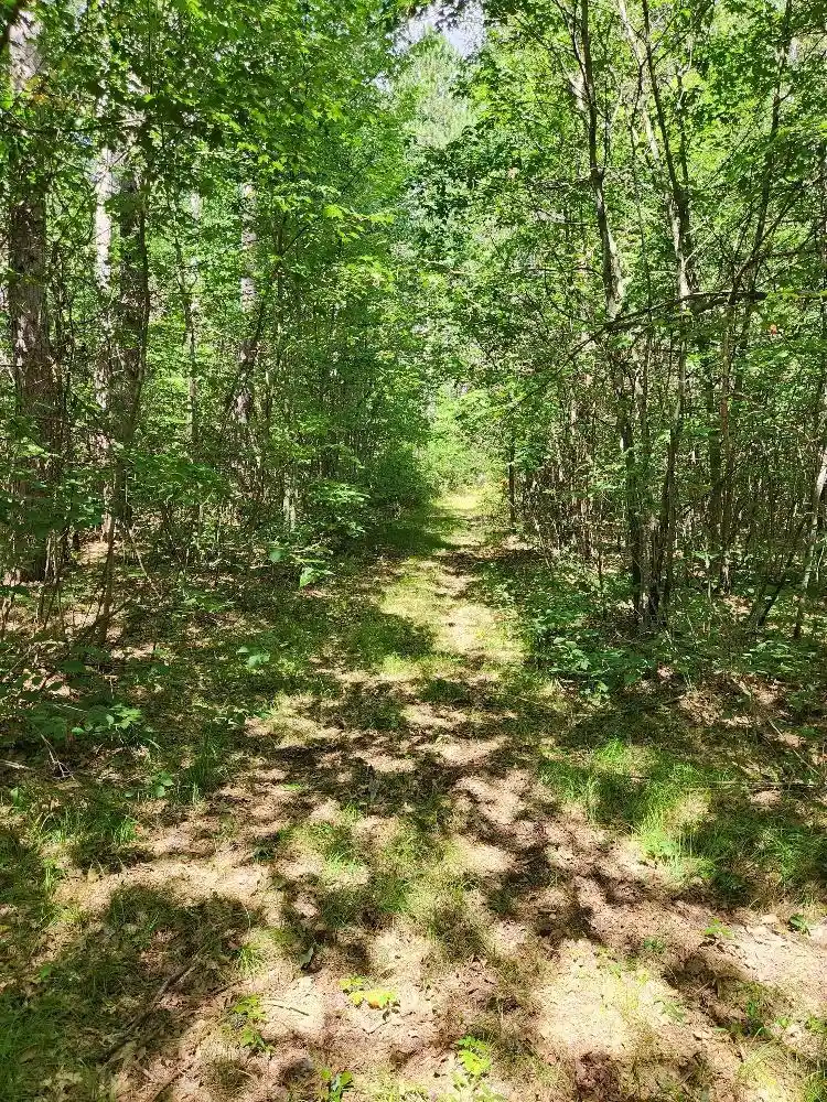 Photo 3 of Land for sale at On Prairie Lake Rd #Lots 5-8, Tomahawk, WI 54487 | MLS# 22604359 | Listing updated on 2026-09-04