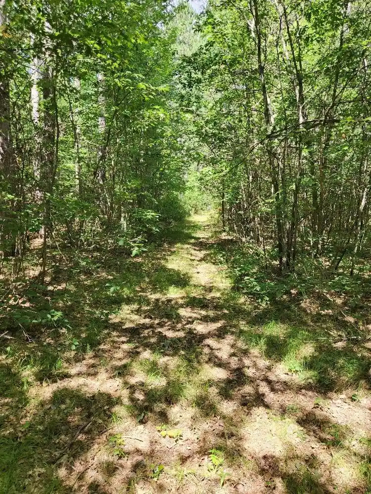 Photo 4 of Land for sale at On Prairie Lake Rd #Lots 5-8, Tomahawk, WI 54487 | MLS# 22604359 | Listing updated on 2026-09-04