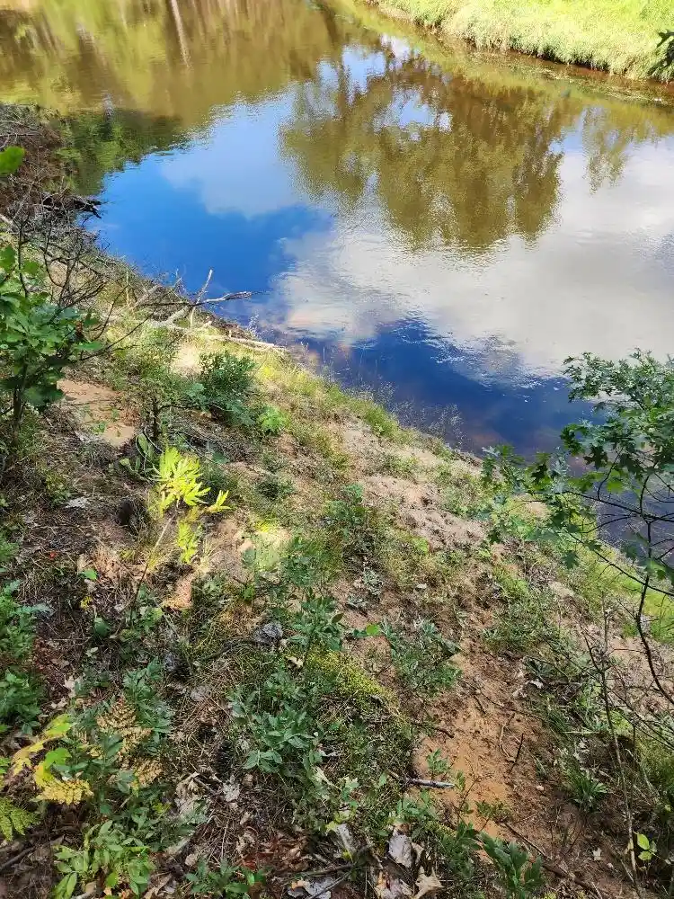 Photo 30 of Land for sale at On Prairie Lake Rd #Lots 5-8, Tomahawk, WI 54487 | MLS# 22604359 | Listing updated on 2026-09-04