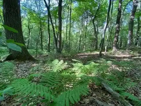 Photo 2 of Land for sale at 12 Wooded Acres Observatory Rd, Cross Plains, WI 53528 | MLS# 2031931 | Listing updated on 2026-09-09