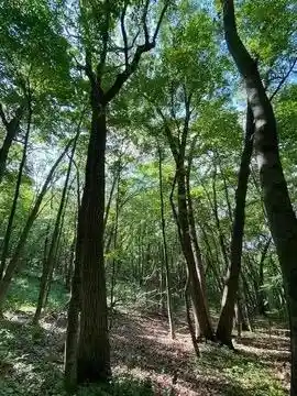 Photo 4 of Land for sale at 12 Wooded Acres Observatory Rd, Cross Plains, WI 53528 | MLS# 2031931 | Listing updated on 2026-09-09
