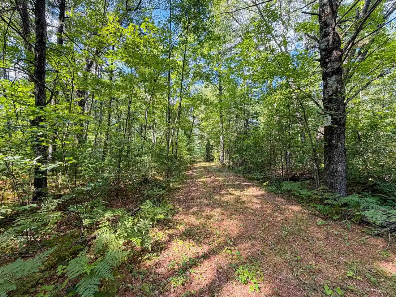 Photo 1 of Land for sale at 0003 State Hwy 173, Wisconsin Rapids, WI 54495 | MLS# 2031943 | Listing updated on 2026-09-03