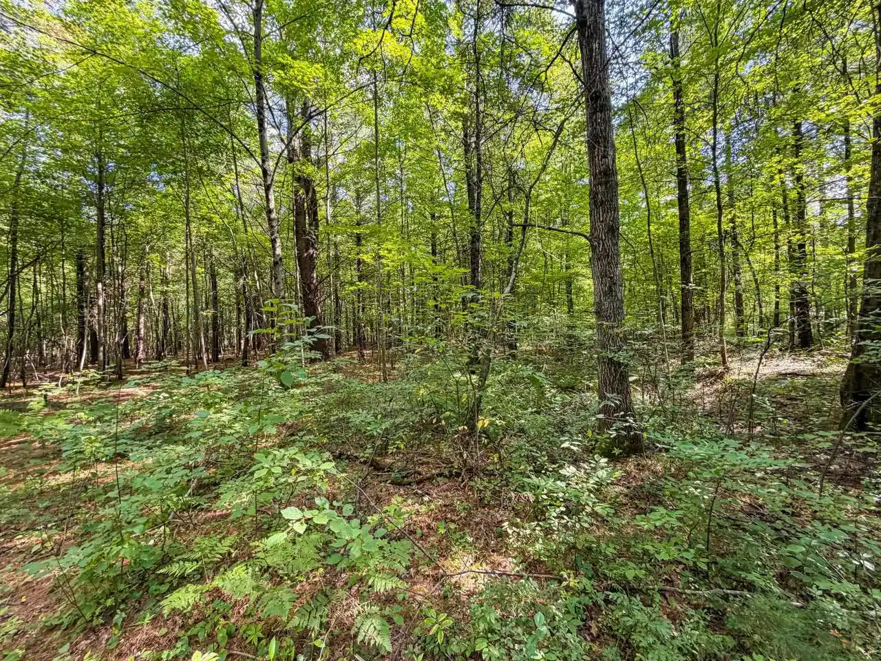 Photo 2 of Land for sale at 0003 State Hwy 173, Wisconsin Rapids, WI 54495 | MLS# 2031943 | Listing updated on 2026-09-03