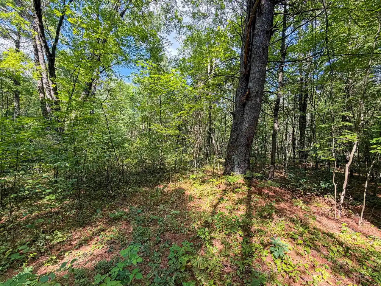 Photo 3 of Land for sale at 0003 State Hwy 173, Wisconsin Rapids, WI 54495 | MLS# 2031943 | Listing updated on 2026-09-03