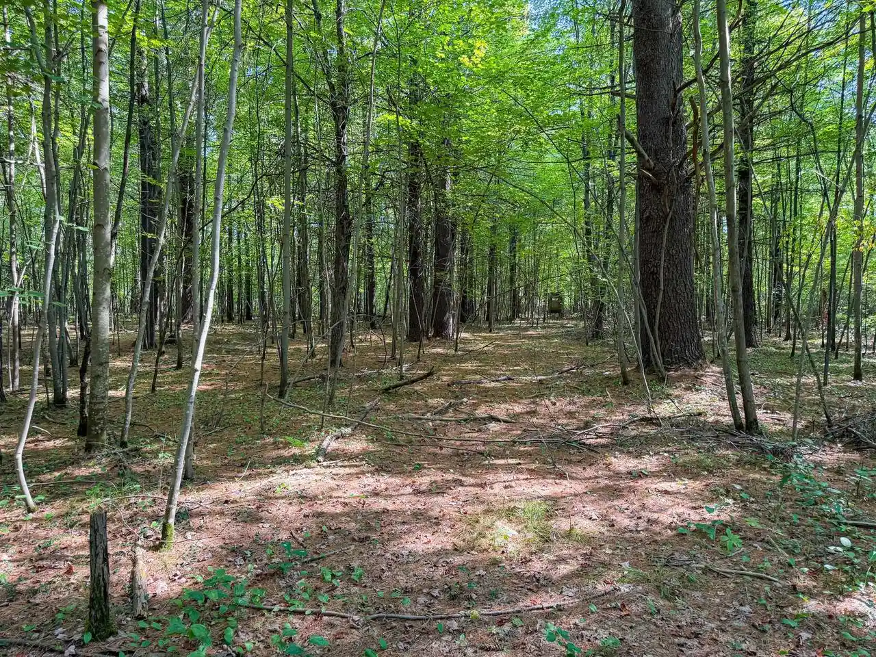 Photo 4 of Land for sale at 0003 State Hwy 173, Wisconsin Rapids, WI 54495 | MLS# 2031943 | Listing updated on 2026-09-03