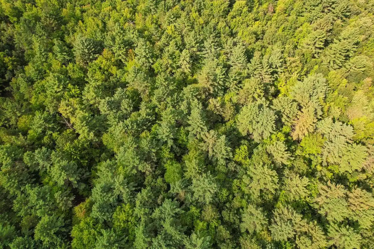 Photo 2 of Land for sale at 0000 State Hwy 173, Wisconsin Rapids, WI 54495 | MLS# 2031942 | Listing updated on 2026-09-03