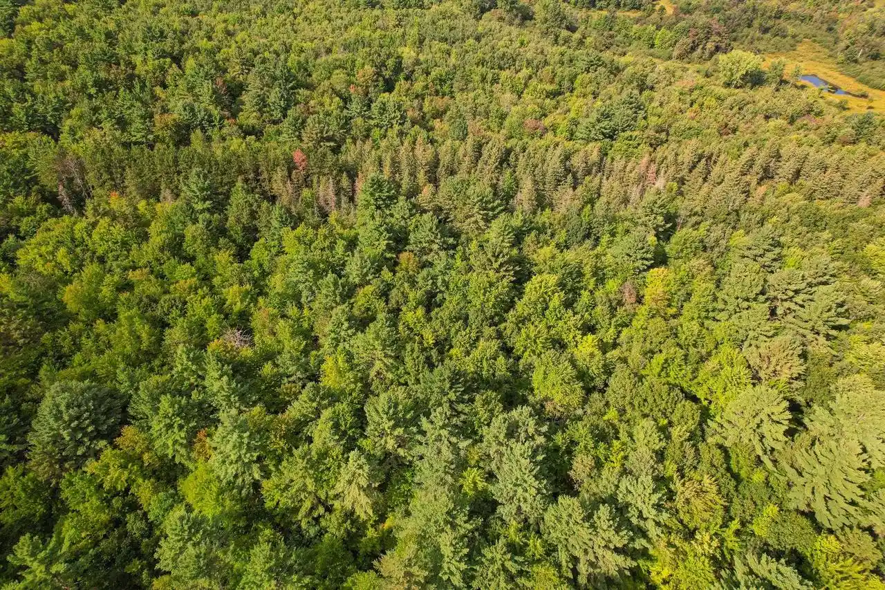 Photo 3 of Land for sale at 0000 State Hwy 173, Wisconsin Rapids, WI 54495 | MLS# 2031942 | Listing updated on 2026-09-03