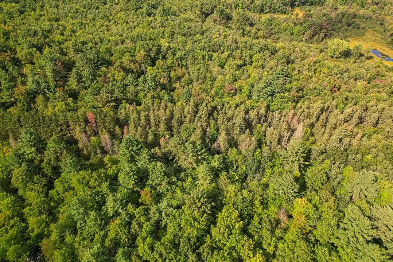 Photo 3 of Land for sale at 0000 State Hwy 173, Wisconsin Rapids, WI 54495 | MLS# 2031942 | Listing updated on 2026-09-03