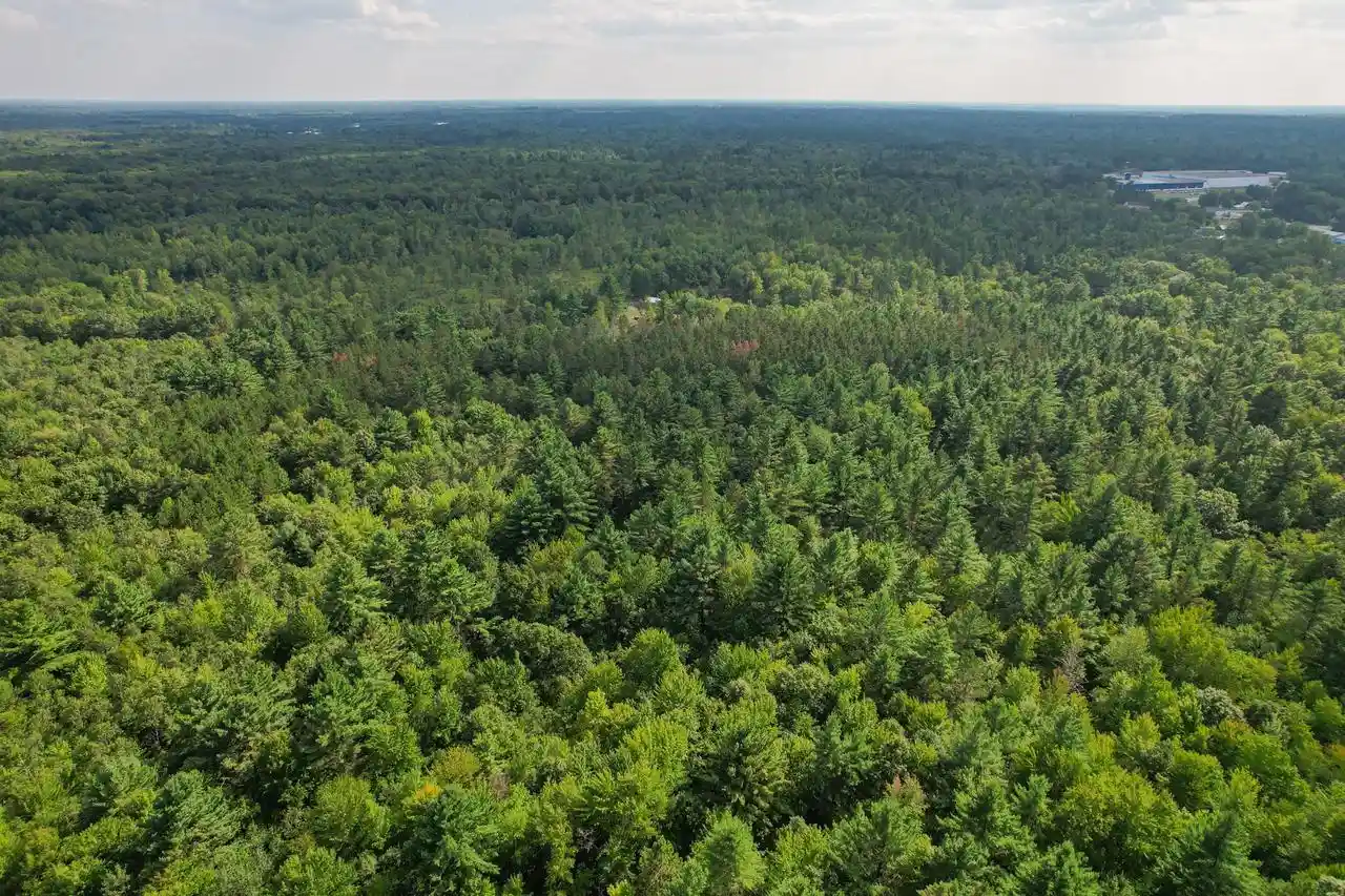 Photo 4 of Land for sale at 0000 State Hwy 173, Wisconsin Rapids, WI 54495 | MLS# 2031942 | Listing updated on 2026-09-03