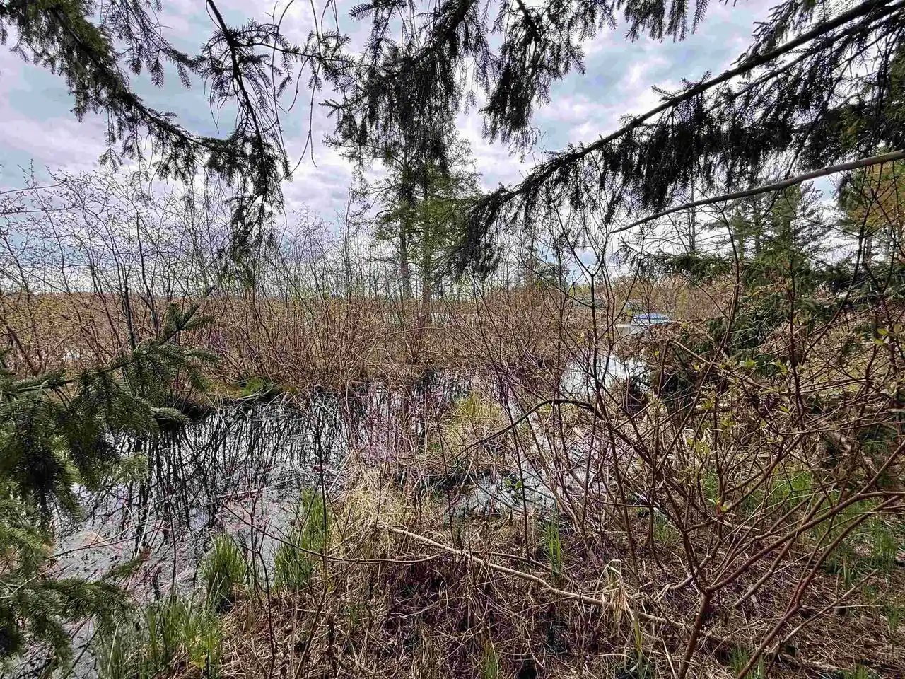 Photo 2 of Land for sale at 108 Acres Loon Bay Ln, Hatley, WI 54440 | MLS# 22604364 | Listing updated on 2026-09-04
