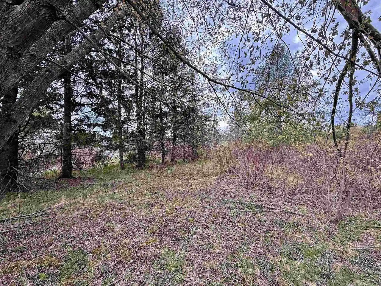 Photo 3 of Land for sale at 108 Acres Loon Bay Ln, Hatley, WI 54440 | MLS# 22604364 | Listing updated on 2026-09-04