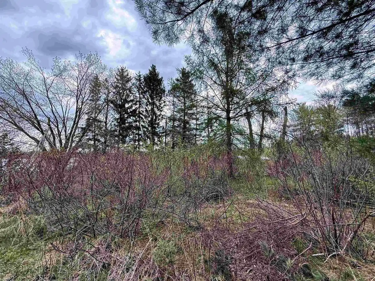 Photo 4 of Land for sale at 108 Acres Loon Bay Ln, Hatley, WI 54440 | MLS# 22604364 | Listing updated on 2026-09-04