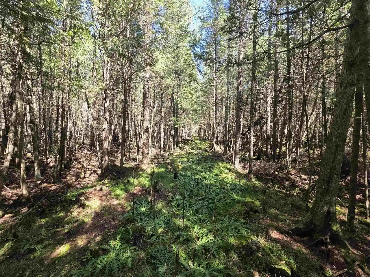 Photo 4 of Land for sale at County Rd 342, Wallace, MI 49893 | MLS# 50332140 | Listing updated on 2026-09-06