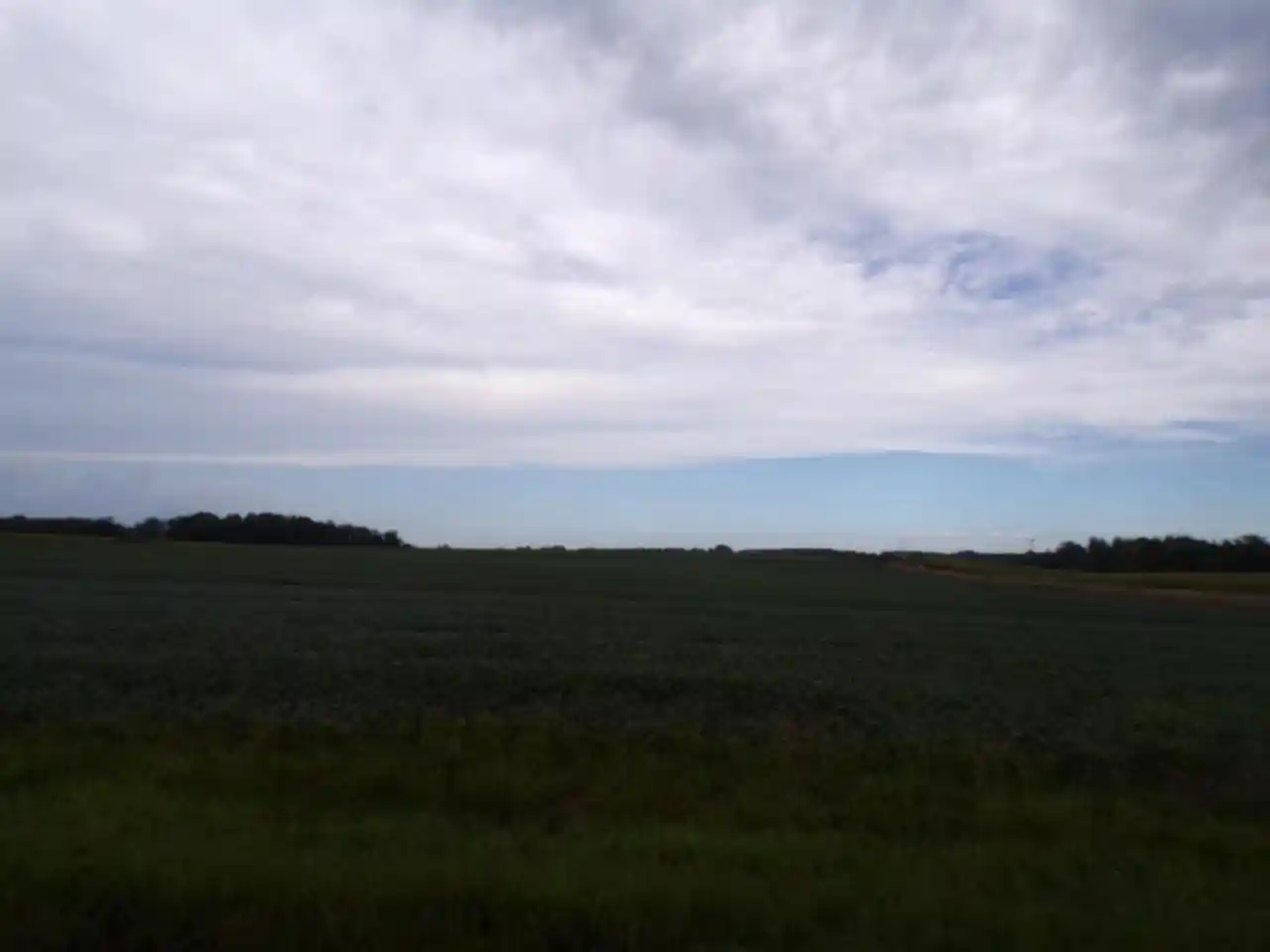 Photo 2 of Land for sale at N7500 Cardinal Ave, Greenwood, WI 54437 | MLS# 22604366 | Listing updated on 2026-09-03