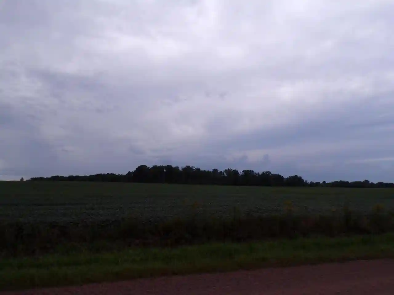 Photo 3 of Land for sale at N7500 Cardinal Ave, Greenwood, WI 54437 | MLS# 22604366 | Listing updated on 2026-09-03