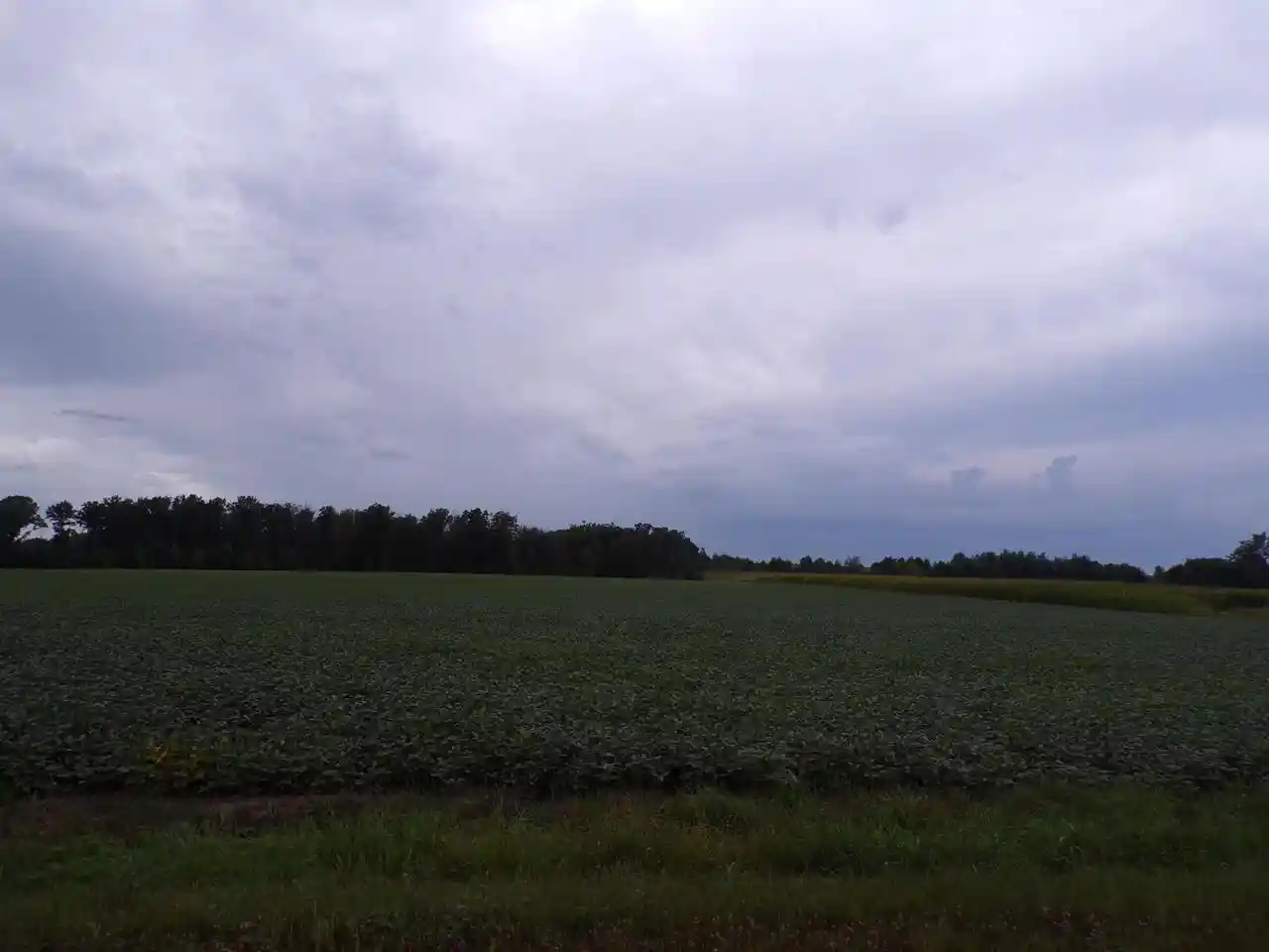 Photo 3 of Land for sale at N7500 Cardinal Ave, Greenwood, WI 54437 | MLS# 22604366 | Listing updated on 2026-09-03