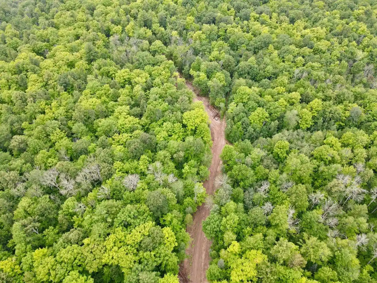 Photo 3 of Land for sale at Lot 3 David Rd, Gleason, WI 54435 | MLS# 22604371 | Listing updated on 2026-10-21