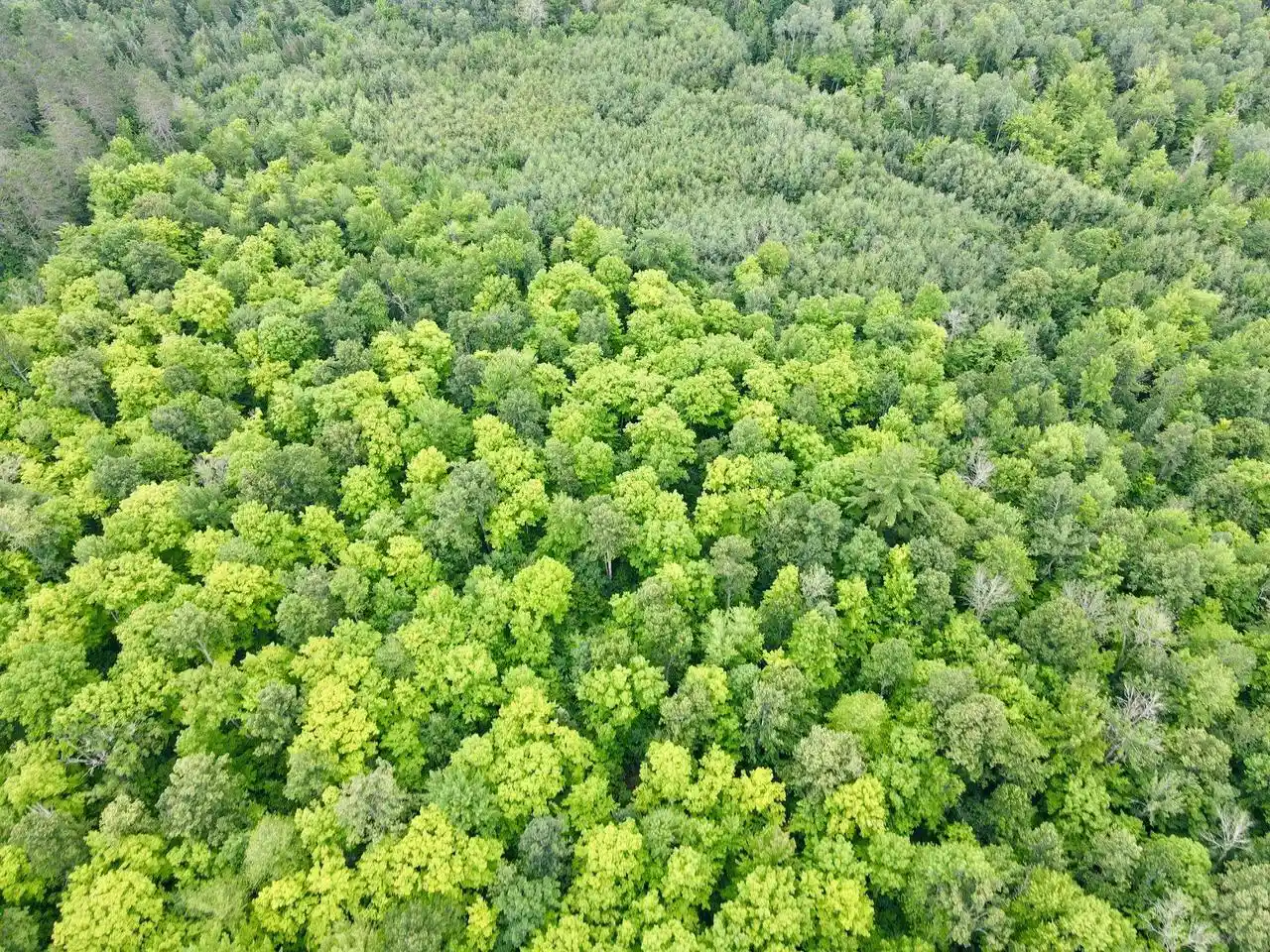Photo 4 of Land for sale at Lot 3 David Rd, Gleason, WI 54435 | MLS# 22604371 | Listing updated on 2026-10-21