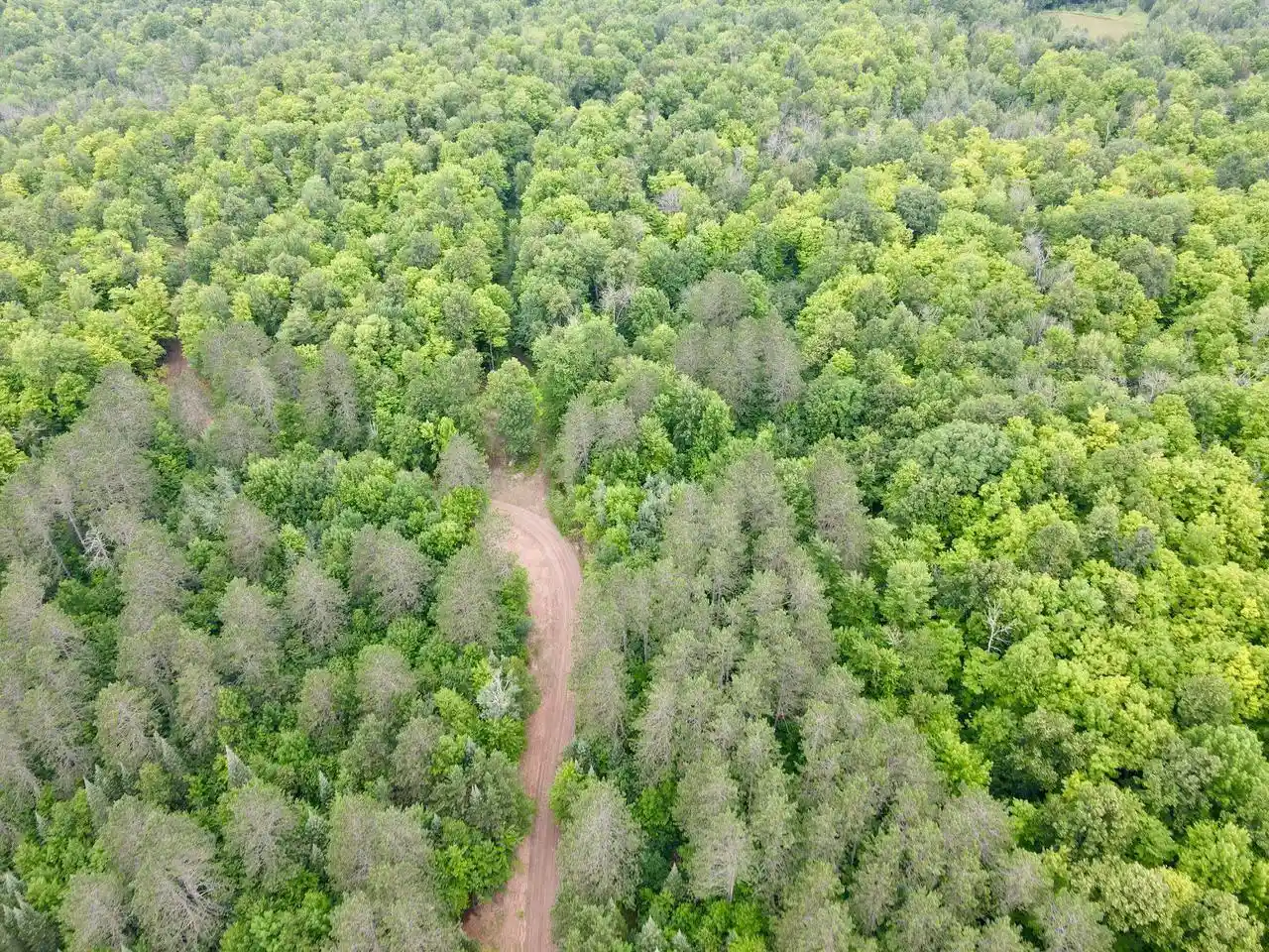 Photo 2 of Land for sale at Lot 1 David Rd, Gleason, WI 54435 | MLS# 22604369 | Listing updated on 2026-09-04