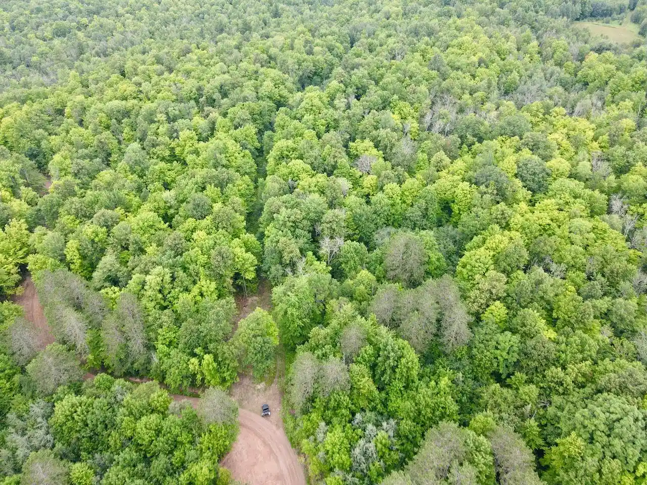 Photo 3 of Land for sale at Lot 1 David Rd, Gleason, WI 54435 | MLS# 22604369 | Listing updated on 2026-09-04