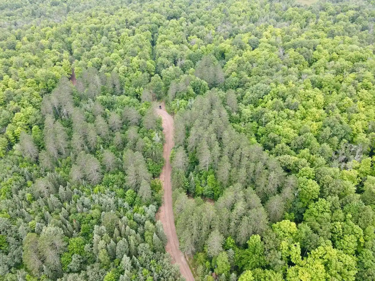 Photo 17 of Land for sale at Lot 1 David Rd, Gleason, WI 54435 | MLS# 22604369 | Listing updated on 2026-09-04