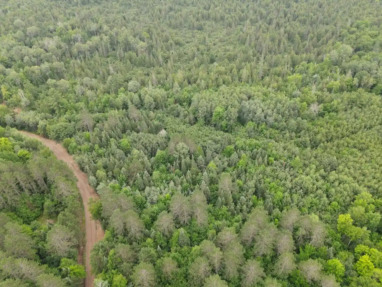 Photo 2 of Land for sale at Lot 2 David Rd, Gleason, WI 54435 | MLS# 22604370 | Listing updated on 2026-09-04