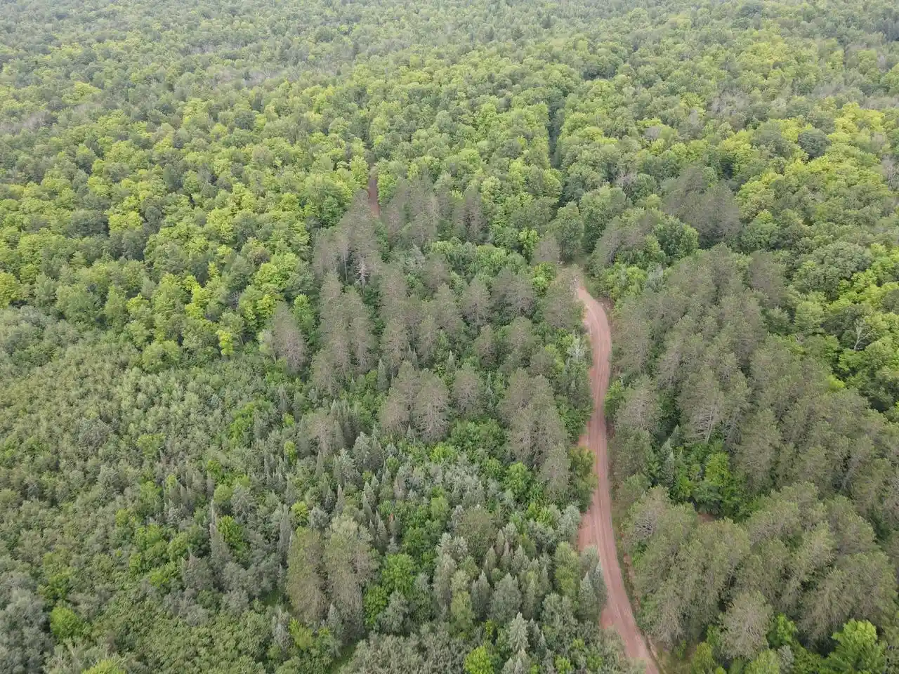 Photo 2 of Land for sale at Lot 2 David Rd, Gleason, WI 54435 | MLS# 22604370 | Listing updated on 2026-09-04