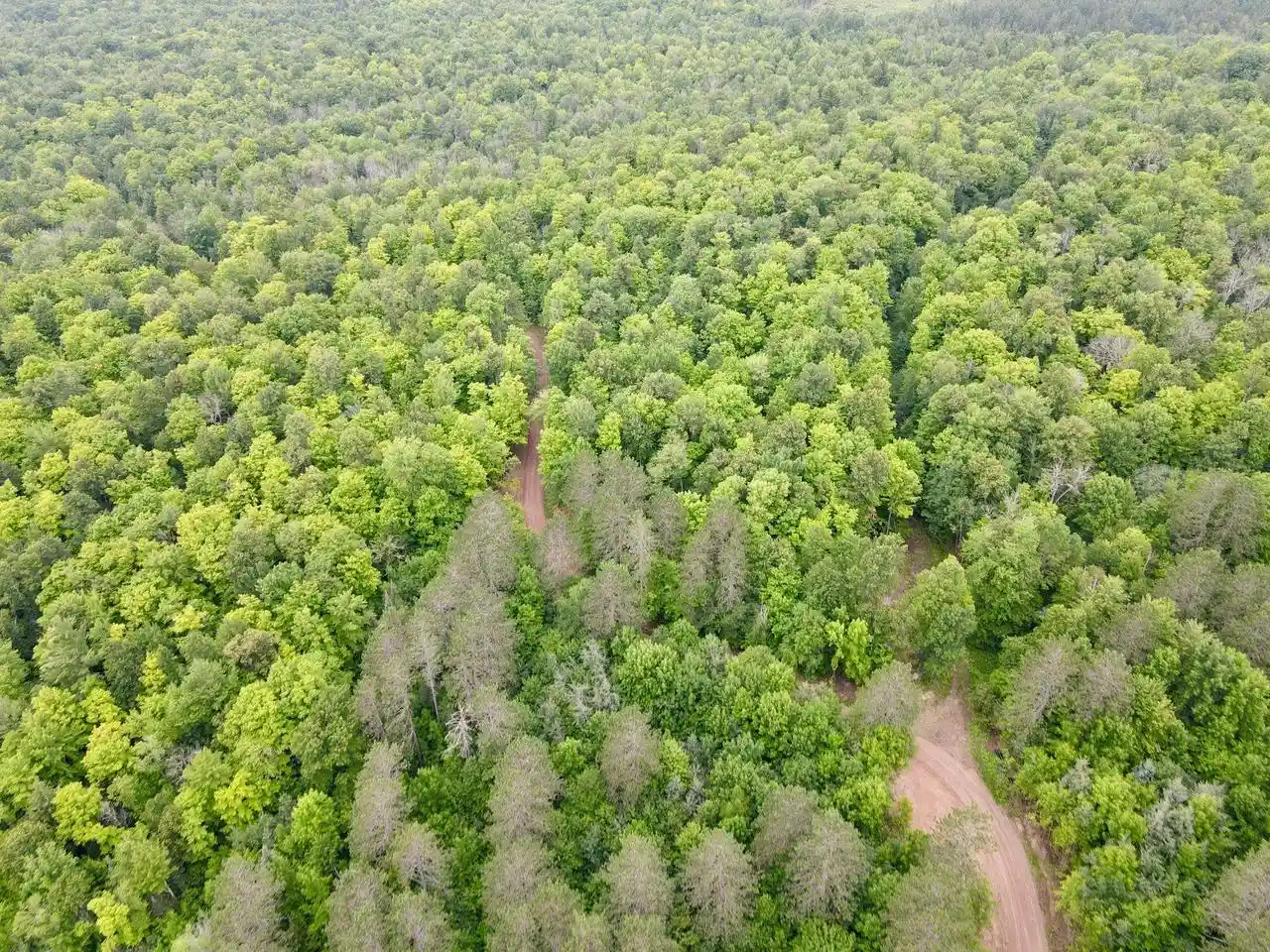 Photo 3 of Land for sale at Lot 2 David Rd, Gleason, WI 54435 | MLS# 22604370 | Listing updated on 2026-09-04