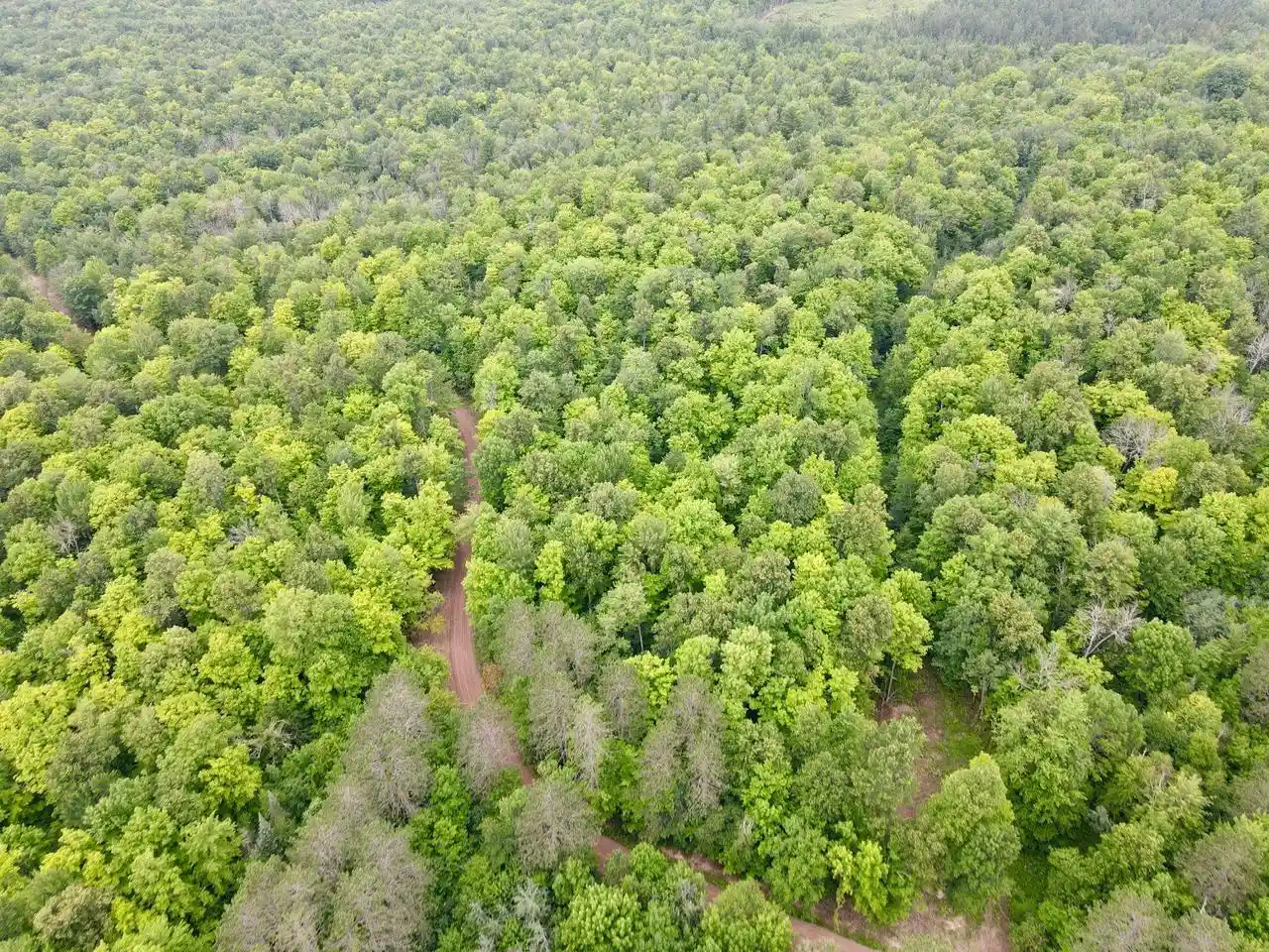 Photo 4 of Land for sale at Lot 2 David Rd, Gleason, WI 54435 | MLS# 22604370 | Listing updated on 2026-09-04
