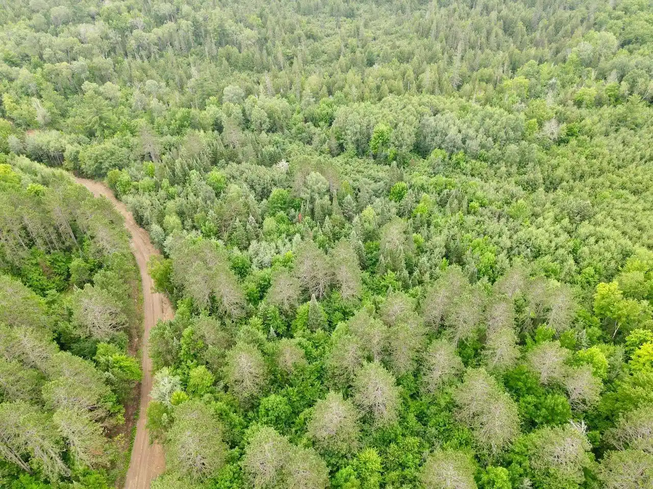 Photo 27 of Land for sale at Lot 2 David Rd, Gleason, WI 54435 | MLS# 22604370 | Listing updated on 2026-09-04