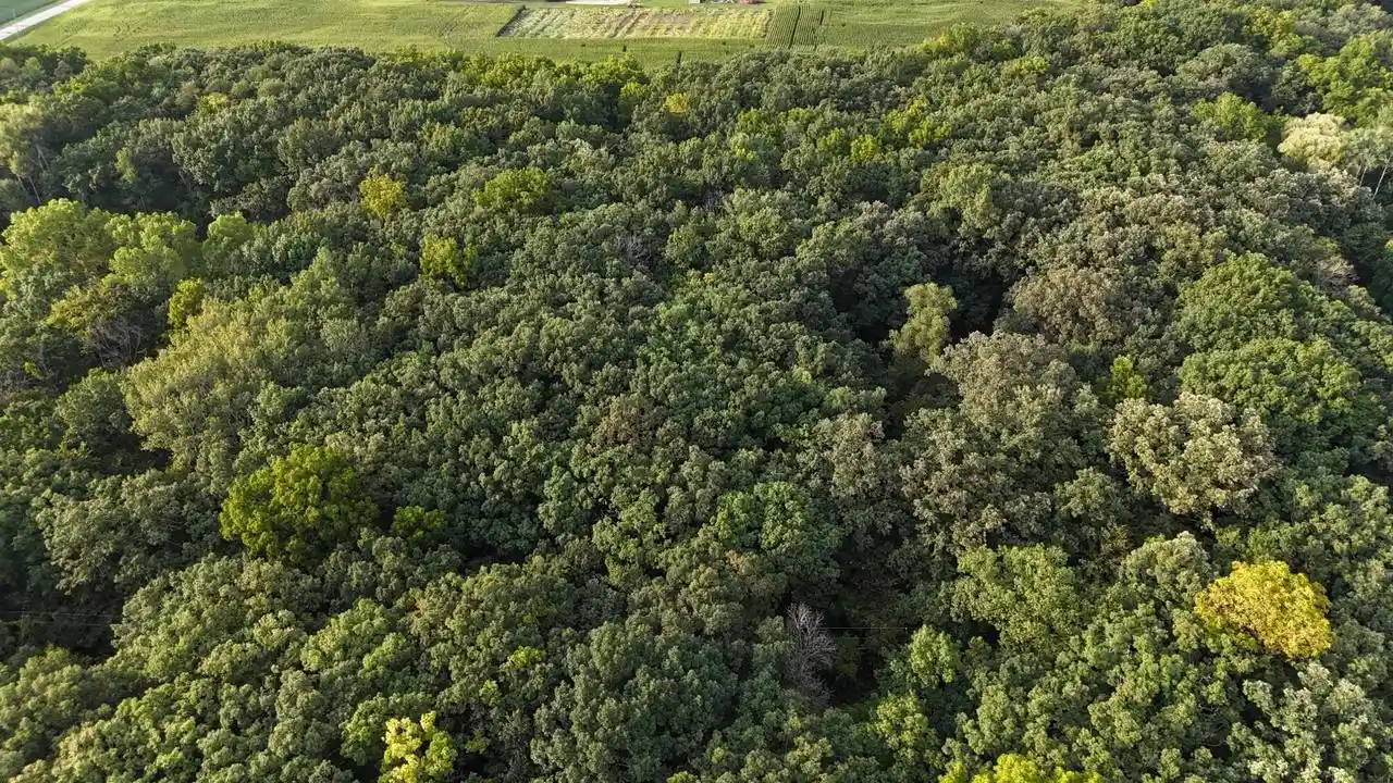 Photo 1 of Land for sale at Lt1 Woodstead Rd, Waterford, WI 53185 | MLS# 1979105 | Listing updated on 2026-09-07